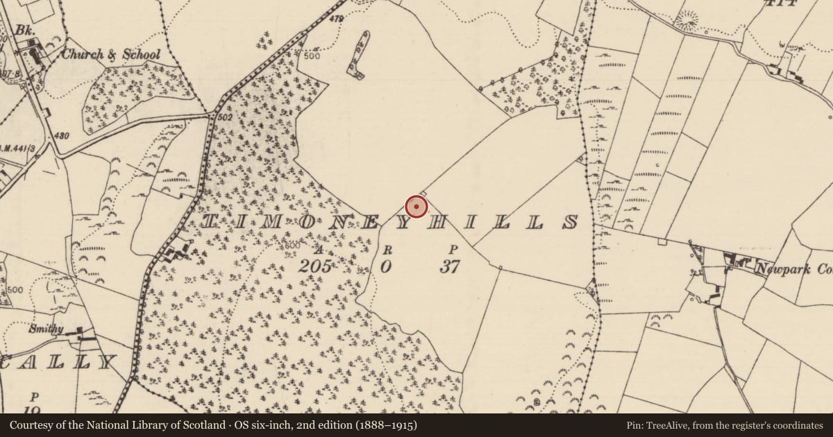 Ordnance Survey six-inch map, 2nd edition (1888–1915) covering the location of Standing stone, Timoney Hills, County Tipperary North, with a pin at the register's coordinates