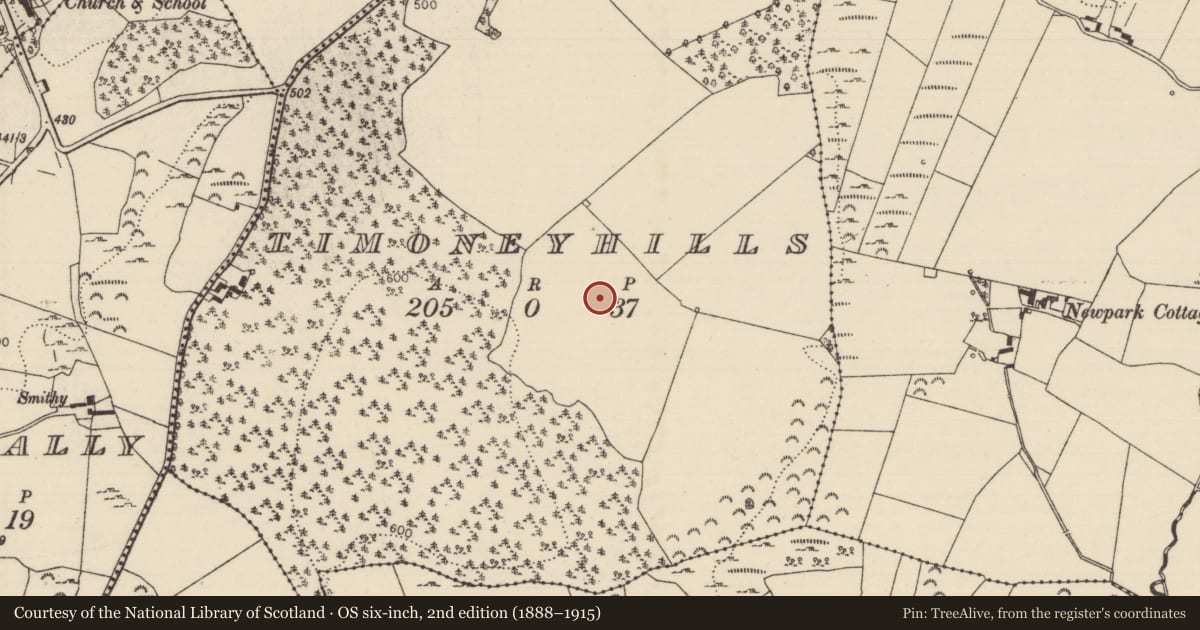 Ordnance Survey six-inch map, 2nd edition (1888–1915) covering the location of Standing stone, Timoney Hills, County Tipperary North, with a pin at the register's coordinates