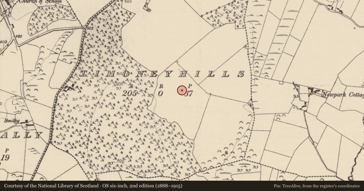 Ordnance Survey six-inch map, 2nd edition (1888–1915) covering the location of Standing stone, Timoney Hills, County Tipperary North, with a pin at the register's coordinates