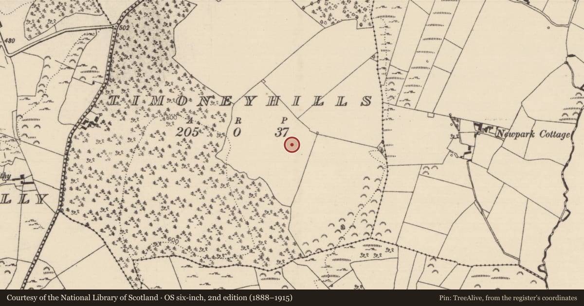 Ordnance Survey six-inch map, 2nd edition (1888–1915) covering the location of Standing stone, Timoney Hills, County Tipperary North, with a pin at the register's coordinates