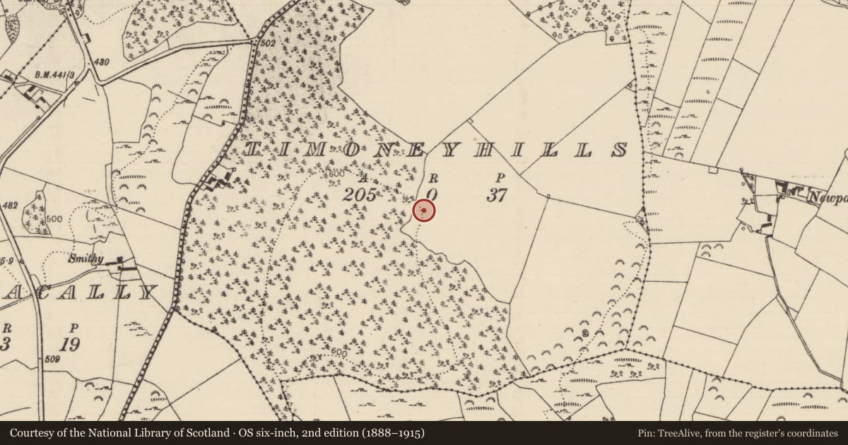 Ordnance Survey six-inch map, 2nd edition (1888–1915) covering the location of Standing stone, Timoney Hills, County Tipperary North, with a pin at the register's coordinates