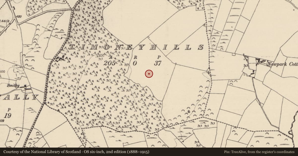 Ordnance Survey six-inch map, 2nd edition (1888–1915) covering the location of Standing stone, Timoney Hills, County Tipperary North, with a pin at the register's coordinates