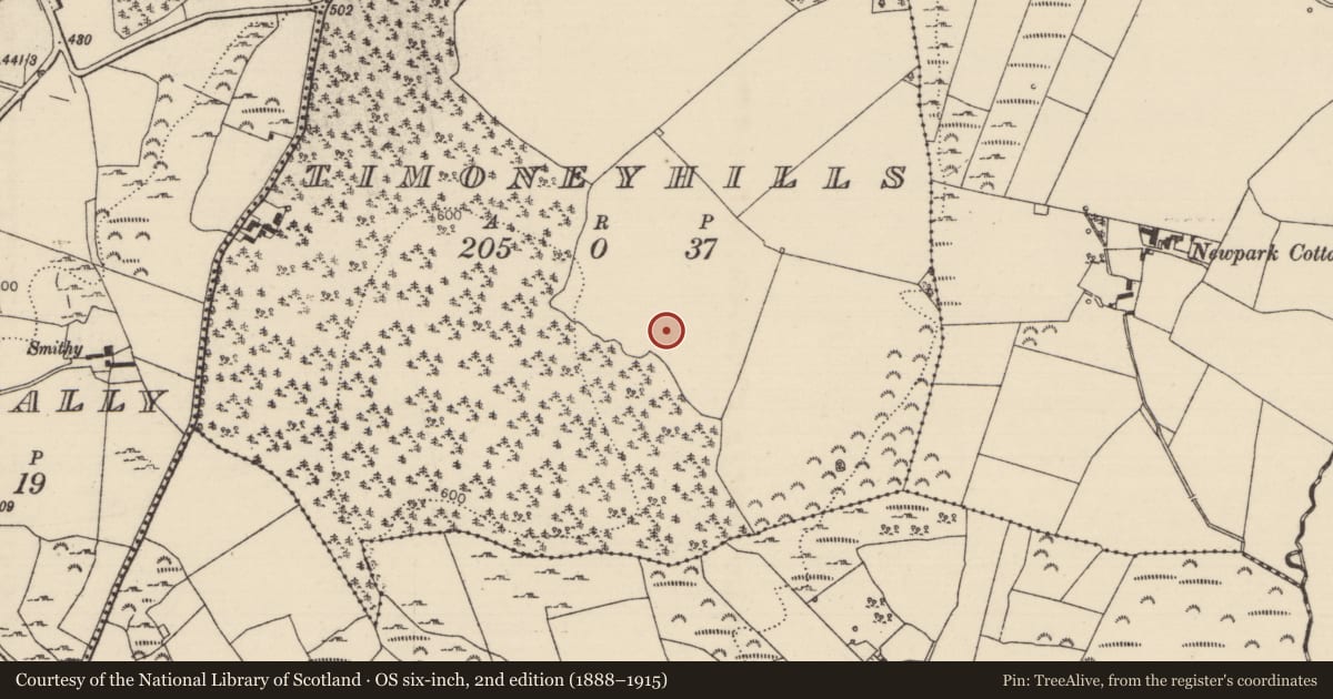 Ordnance Survey six-inch map, 2nd edition (1888–1915) covering the location of Standing stone, Timoney Hills, County Tipperary North, with a pin at the register's coordinates