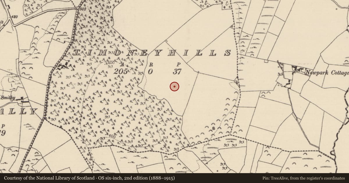 Ordnance Survey six-inch map, 2nd edition (1888–1915) covering the location of Standing stone, Timoney Hills, County Tipperary North, with a pin at the register's coordinates