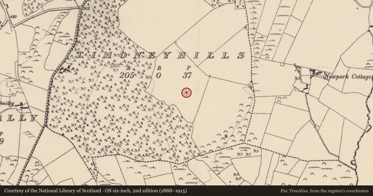 Ordnance Survey six-inch map, 2nd edition (1888–1915) covering the location of Standing stone, Timoney Hills, County Tipperary North, with a pin at the register's coordinates