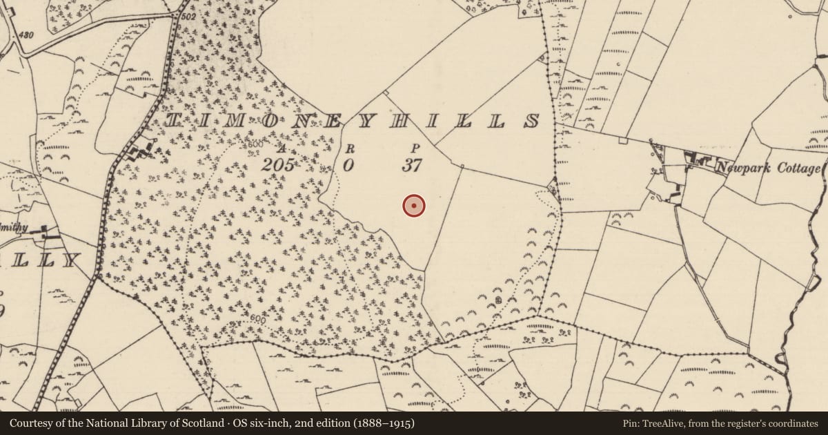 Ordnance Survey six-inch map, 2nd edition (1888–1915) covering the location of Standing stone, Timoney Hills, County Tipperary North, with a pin at the register's coordinates