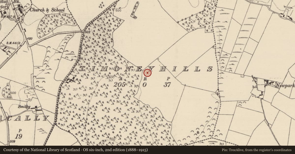 Ordnance Survey six-inch map, 2nd edition (1888–1915) covering the location of Standing stone, Timoney Hills, County Tipperary North, with a pin at the register's coordinates