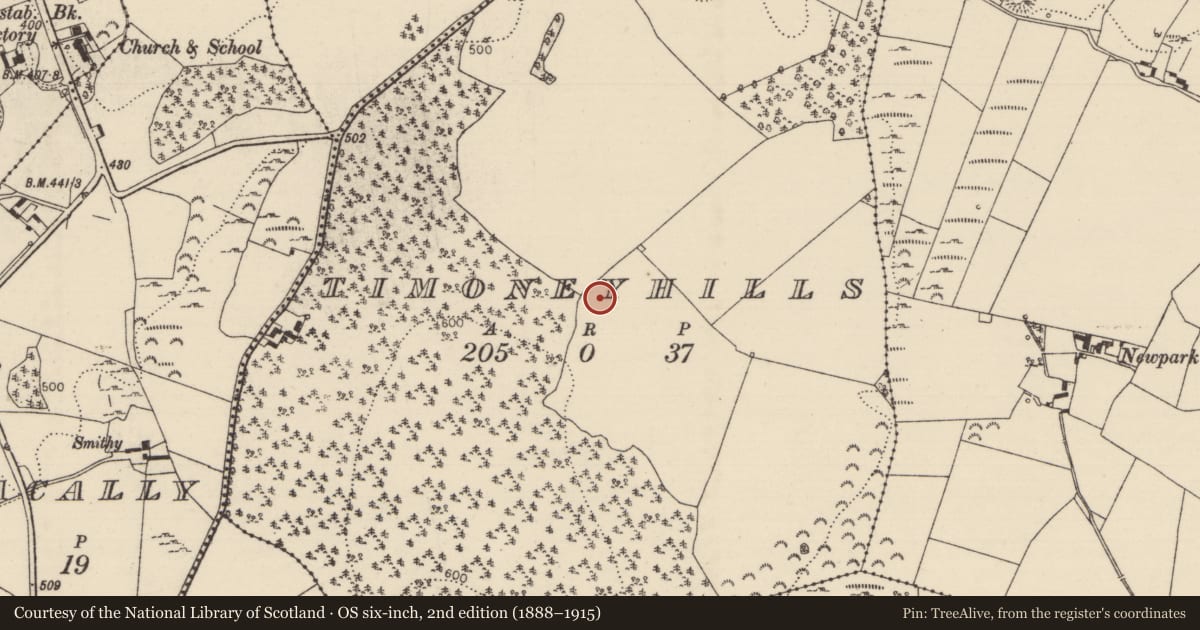 Ordnance Survey six-inch map, 2nd edition (1888–1915) covering the location of Standing stone, Timoney Hills, County Tipperary North, with a pin at the register's coordinates