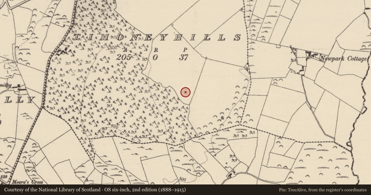 Ordnance Survey six-inch map, 2nd edition (1888–1915) covering the location of Standing stone, Timoney Hills, County Tipperary North, with a pin at the register's coordinates
