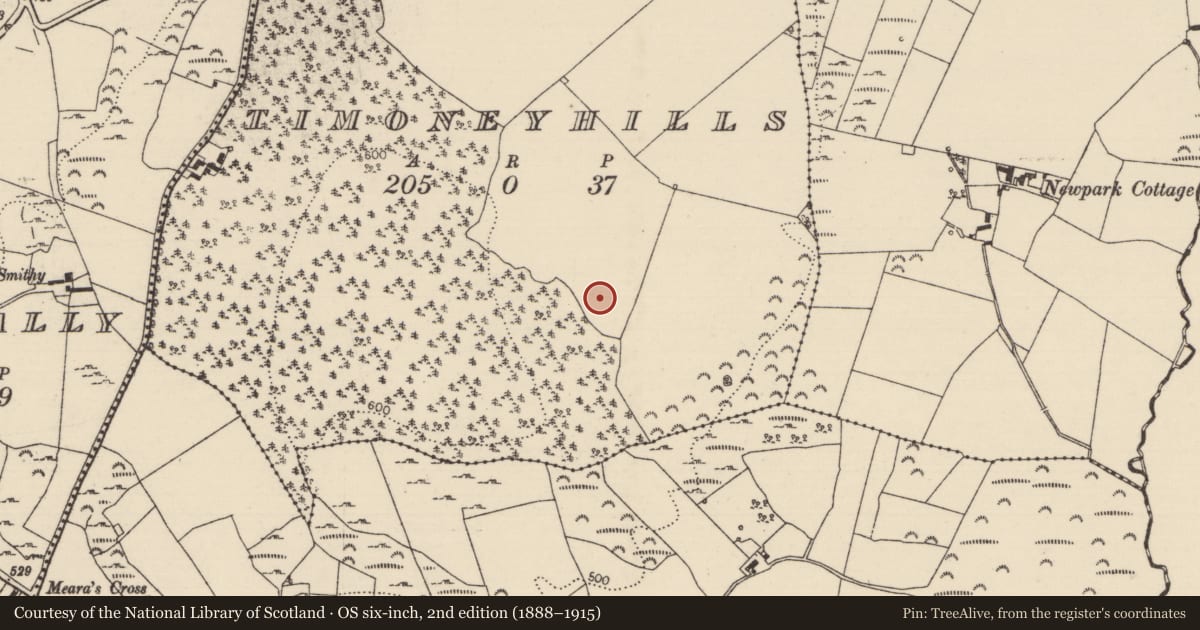 Ordnance Survey six-inch map, 2nd edition (1888–1915) covering the location of Standing stone, Timoney Hills, County Tipperary North, with a pin at the register's coordinates