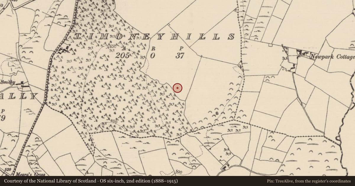 Ordnance Survey six-inch map, 2nd edition (1888–1915) covering the location of Standing stone, Timoney Hills, County Tipperary North, with a pin at the register's coordinates