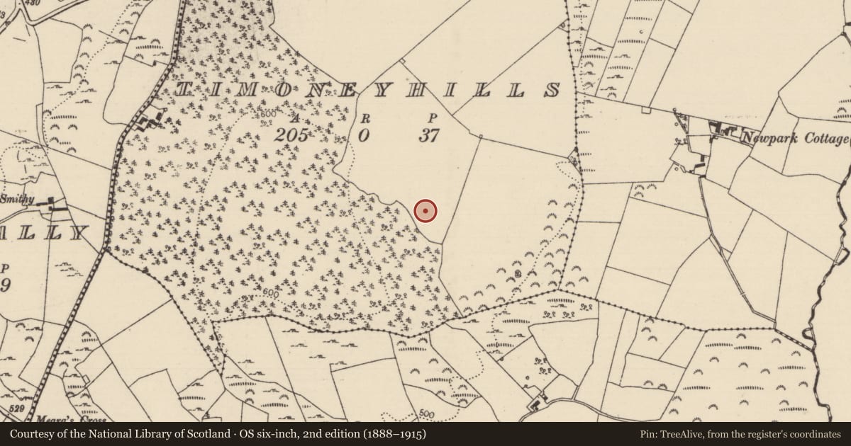 Ordnance Survey six-inch map, 2nd edition (1888–1915) covering the location of Standing stone, Timoney Hills, County Tipperary North, with a pin at the register's coordinates