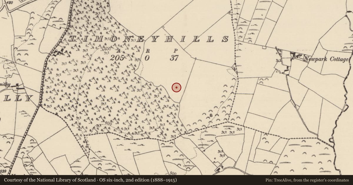 Ordnance Survey six-inch map, 2nd edition (1888–1915) covering the location of Standing stone, Timoney Hills, County Tipperary North, with a pin at the register's coordinates