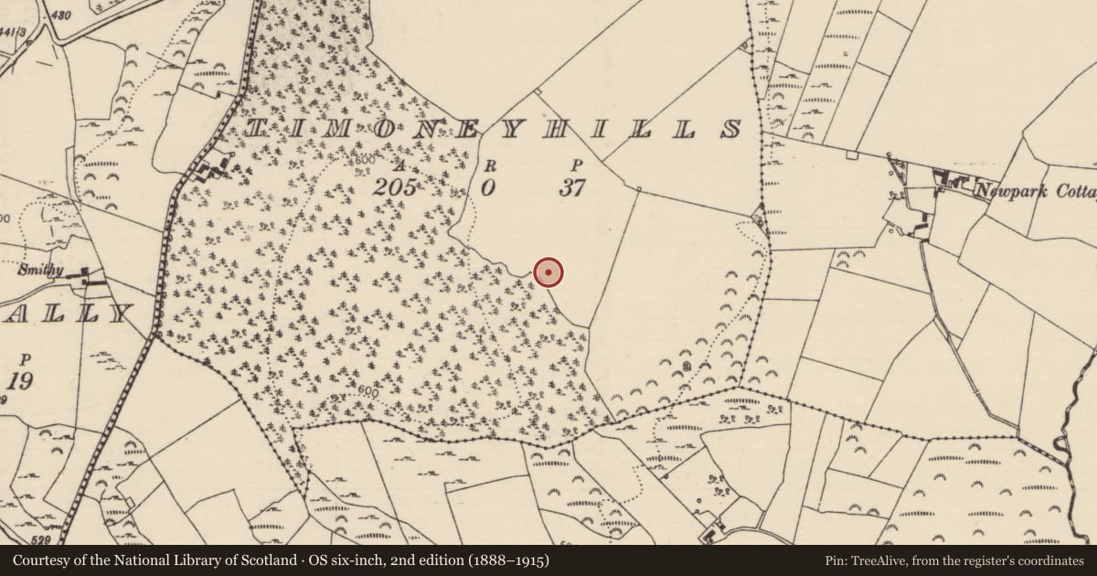 Ordnance Survey six-inch map, 2nd edition (1888–1915) covering the location of Standing stone, Timoney Hills, County Tipperary North, with a pin at the register's coordinates