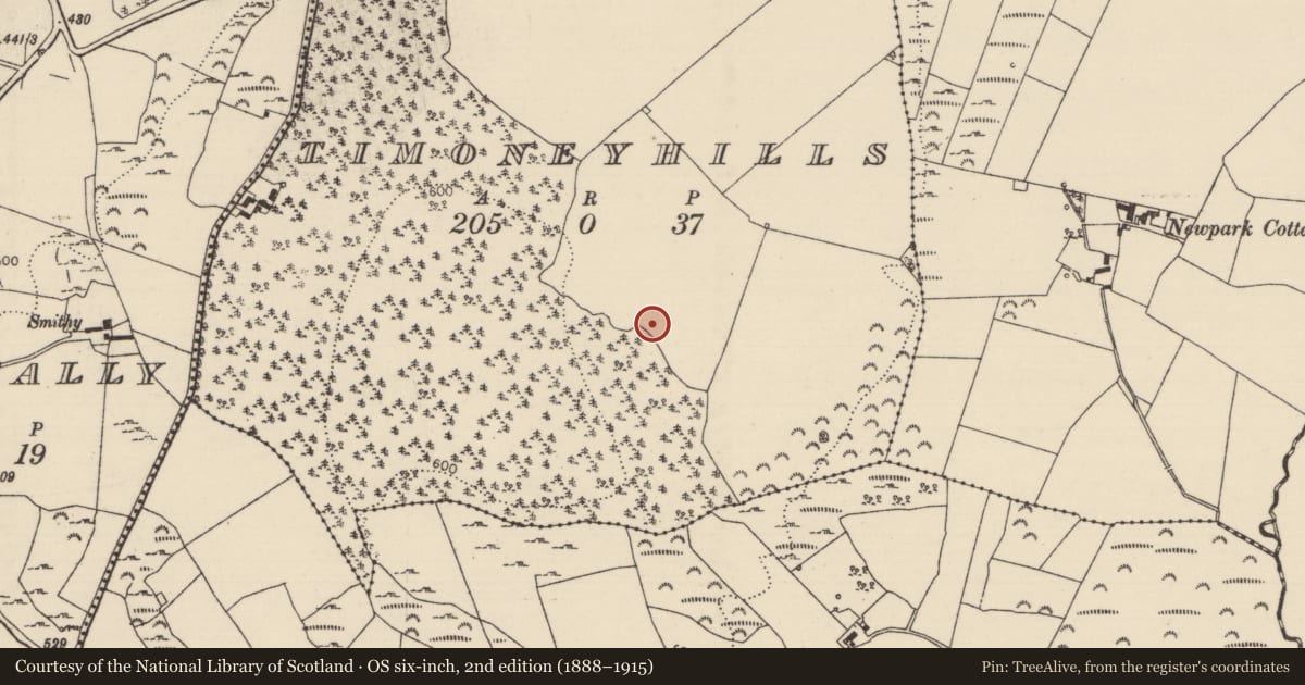Ordnance Survey six-inch map, 2nd edition (1888–1915) covering the location of Standing stone, Timoney Hills, County Tipperary North, with a pin at the register's coordinates