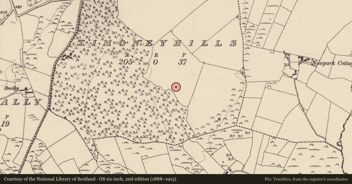 Ordnance Survey six-inch map, 2nd edition (1888–1915) covering the location of Standing stone, Timoney Hills, County Tipperary North, with a pin at the register's coordinates