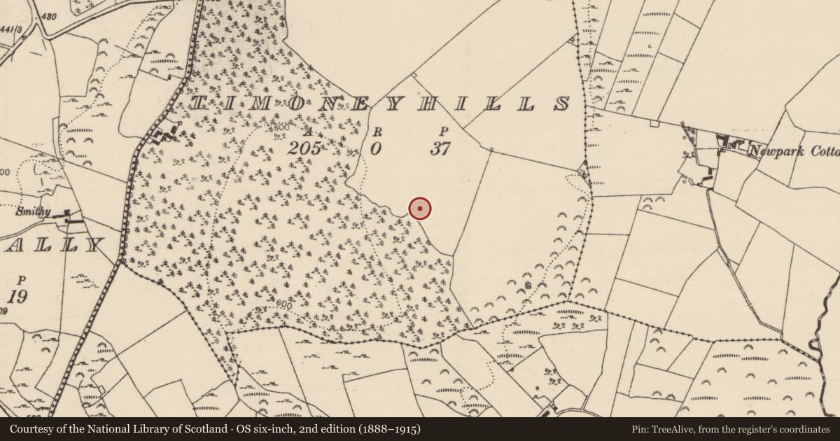 Ordnance Survey six-inch map, 2nd edition (1888–1915) covering the location of Standing stone, Timoney Hills, County Tipperary North, with a pin at the register's coordinates
