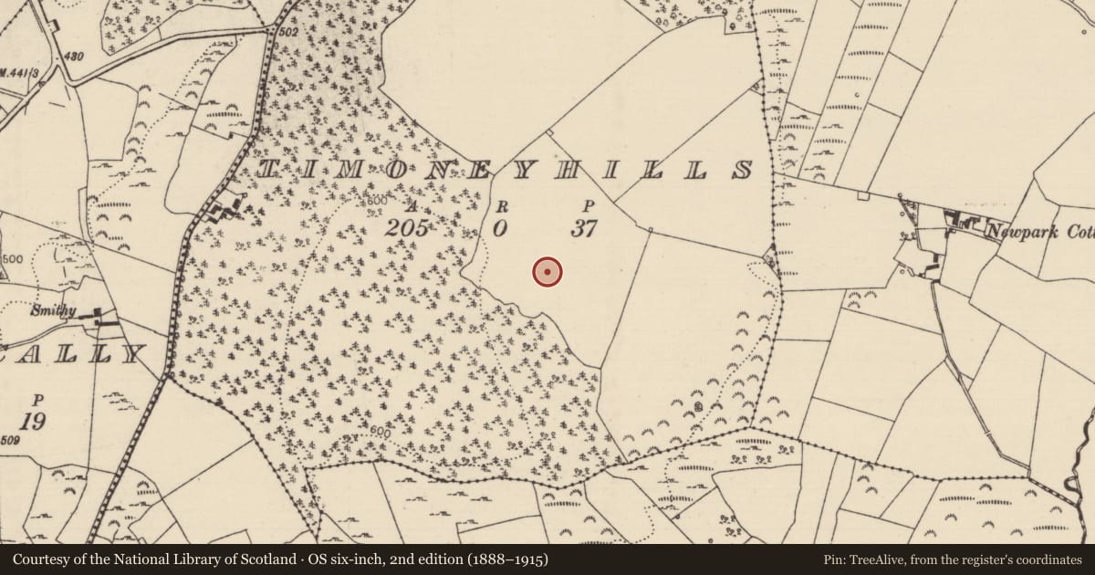 Ordnance Survey six-inch map, 2nd edition (1888–1915) covering the location of Standing stone, Timoney Hills, County Tipperary North, with a pin at the register's coordinates