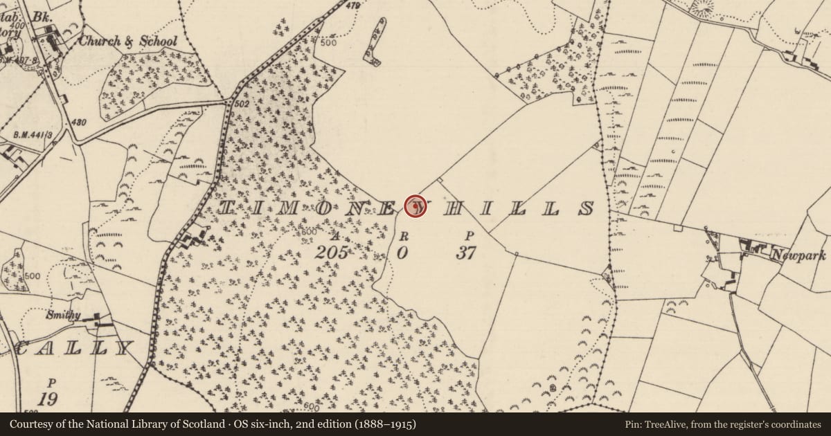 Ordnance Survey six-inch map, 2nd edition (1888–1915) covering the location of Standing stone, Timoney Hills, County Tipperary North, with a pin at the register's coordinates