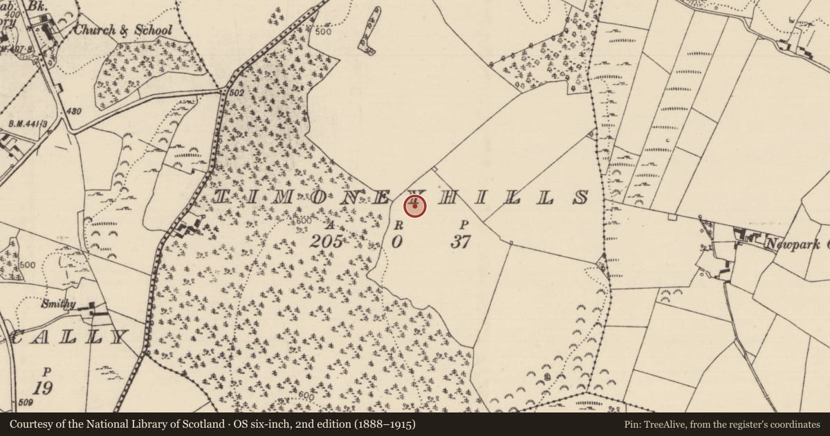 Ordnance Survey six-inch map, 2nd edition (1888–1915) covering the location of Standing stone, Timoney Hills, County Tipperary North, with a pin at the register's coordinates