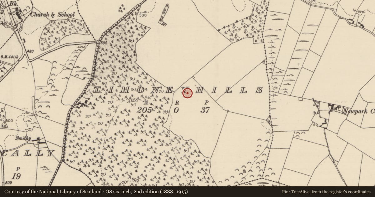 Ordnance Survey six-inch map, 2nd edition (1888–1915) covering the location of Standing stone, Timoney Hills, County Tipperary North, with a pin at the register's coordinates