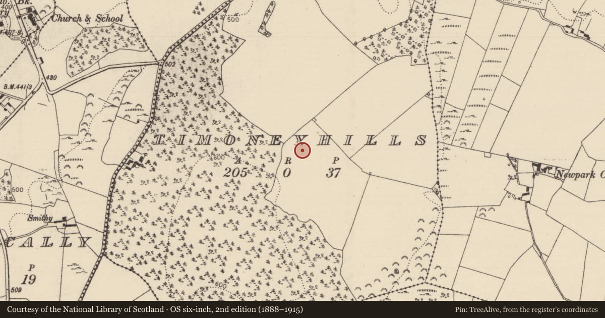 Ordnance Survey six-inch map, 2nd edition (1888–1915) covering the location of Standing stone, Timoney Hills, County Tipperary North, with a pin at the register's coordinates