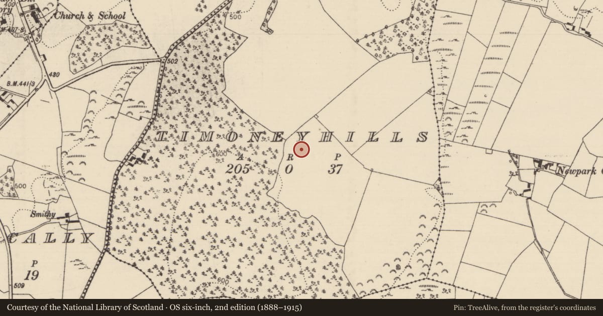 Ordnance Survey six-inch map, 2nd edition (1888–1915) covering the location of Standing stone, Timoney Hills, County Tipperary North, with a pin at the register's coordinates