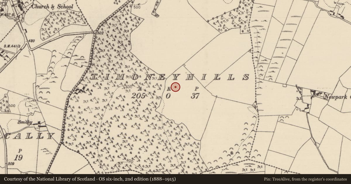 Ordnance Survey six-inch map, 2nd edition (1888–1915) covering the location of Standing stone, Timoney Hills, County Tipperary North, with a pin at the register's coordinates