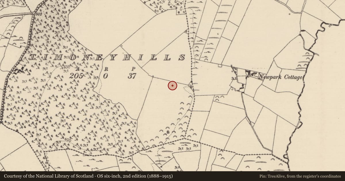 Ordnance Survey six-inch map, 2nd edition (1888–1915) covering the location of Standing stone, Timoney Hills, County Tipperary North, with a pin at the register's coordinates