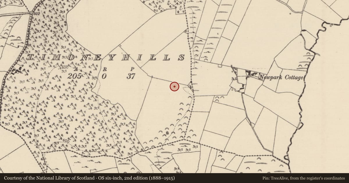 Ordnance Survey six-inch map, 2nd edition (1888–1915) covering the location of Standing stone, Timoney Hills, County Tipperary North, with a pin at the register's coordinates