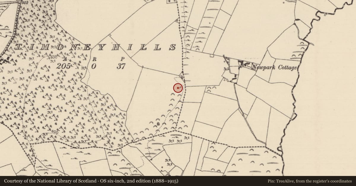 Ordnance Survey six-inch map, 2nd edition (1888–1915) covering the location of Standing stone, Timoney Hills, County Tipperary North, with a pin at the register's coordinates