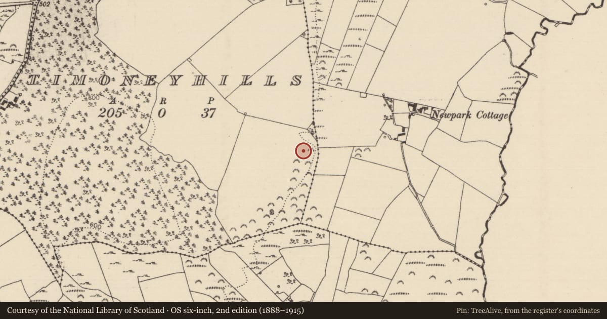 Ordnance Survey six-inch map, 2nd edition (1888–1915) covering the location of Standing stone, Timoney Hills, County Tipperary North, with a pin at the register's coordinates