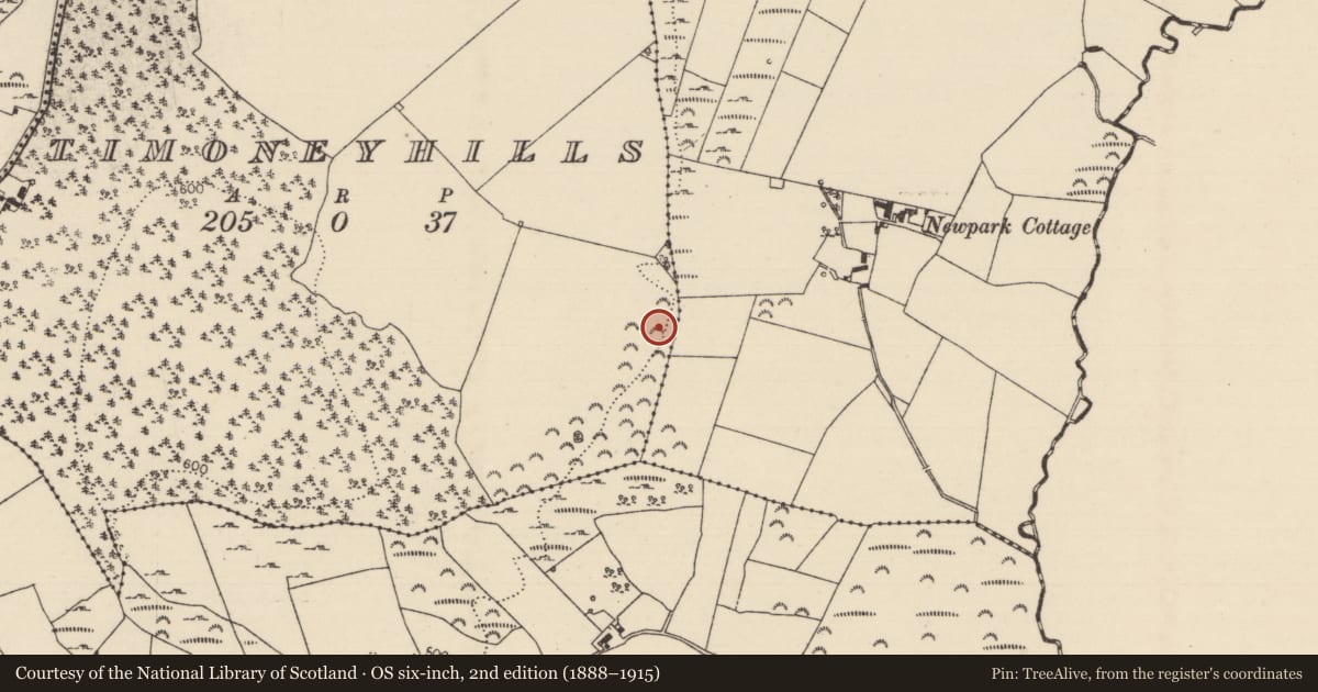 Ordnance Survey six-inch map, 2nd edition (1888–1915) covering the location of Standing stone, Timoney Hills, County Tipperary North, with a pin at the register's coordinates