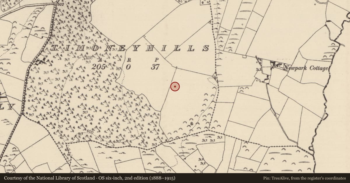Ordnance Survey six-inch map, 2nd edition (1888–1915) covering the location of Standing stone, Timoney Hills, County Tipperary North, with a pin at the register's coordinates