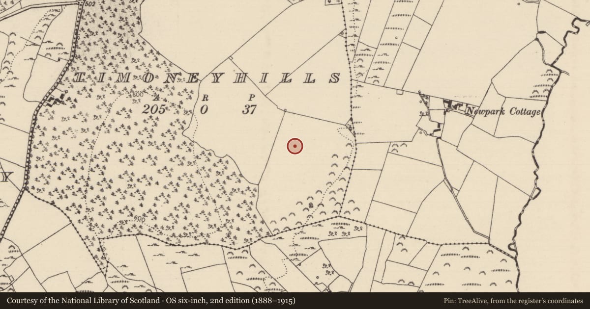 Ordnance Survey six-inch map, 2nd edition (1888–1915) covering the location of Standing stone, Timoney Hills, County Tipperary North, with a pin at the register's coordinates