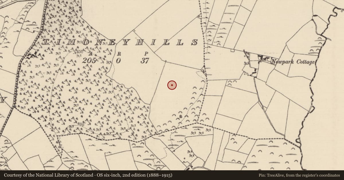 Ordnance Survey six-inch map, 2nd edition (1888–1915) covering the location of Standing stone, Timoney Hills, County Tipperary North, with a pin at the register's coordinates