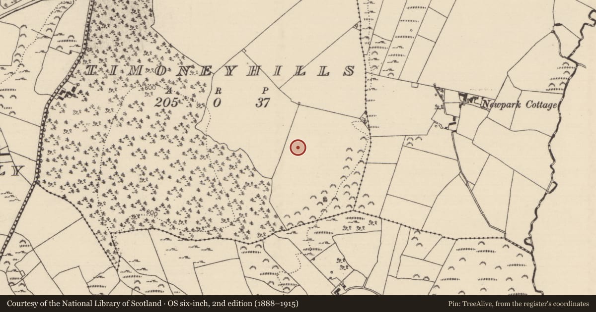 Ordnance Survey six-inch map, 2nd edition (1888–1915) covering the location of Standing stone, Timoney Hills, County Tipperary North, with a pin at the register's coordinates