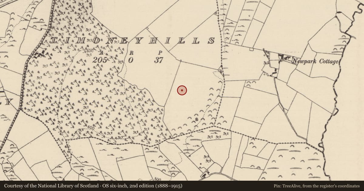 Ordnance Survey six-inch map, 2nd edition (1888–1915) covering the location of Standing stone, Timoney Hills, County Tipperary North, with a pin at the register's coordinates