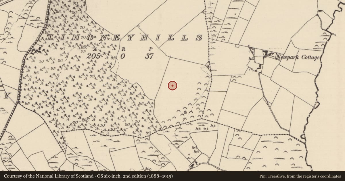 Ordnance Survey six-inch map, 2nd edition (1888–1915) covering the location of Standing stone, Timoney Hills, County Tipperary North, with a pin at the register's coordinates