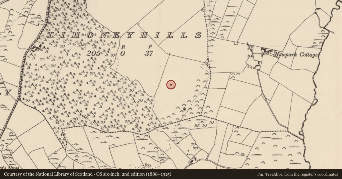 Ordnance Survey six-inch map, 2nd edition (1888–1915) covering the location of Standing stone, Timoney Hills, County Tipperary North, with a pin at the register's coordinates