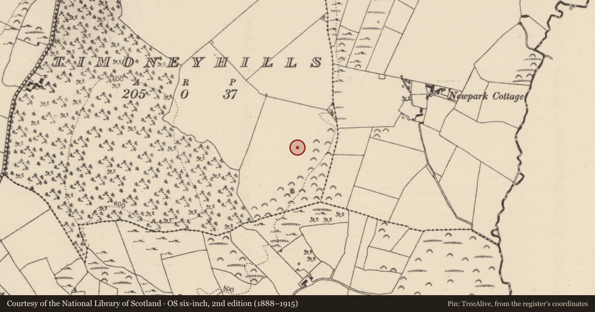 Ordnance Survey six-inch map, 2nd edition (1888–1915) covering the location of Standing stone, Timoney Hills, County Tipperary North, with a pin at the register's coordinates