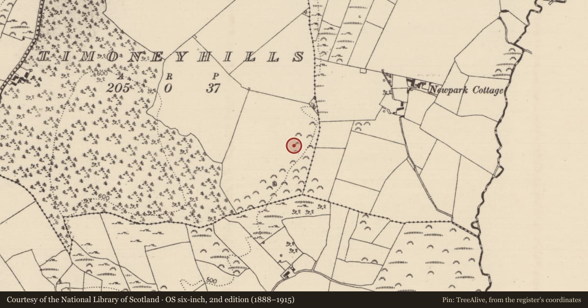 Ordnance Survey six-inch map, 2nd edition (1888–1915) covering the location of Standing stone, Timoney Hills, County Tipperary North, with a pin at the register's coordinates