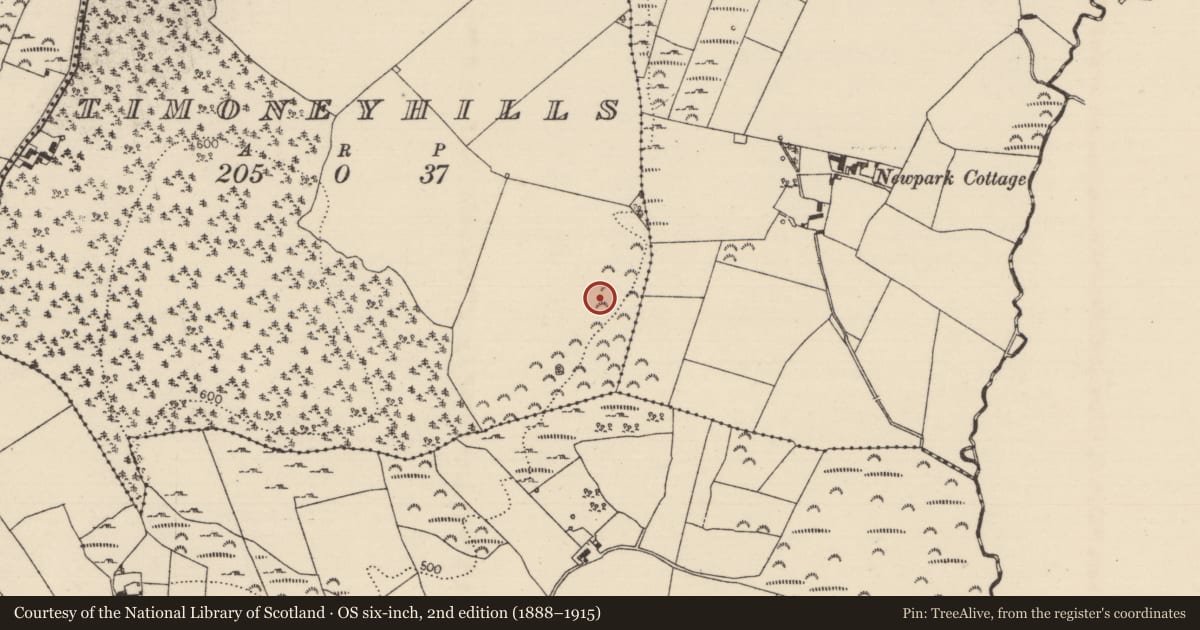 Ordnance Survey six-inch map, 2nd edition (1888–1915) covering the location of Standing stone, Timoney Hills, County Tipperary North, with a pin at the register's coordinates