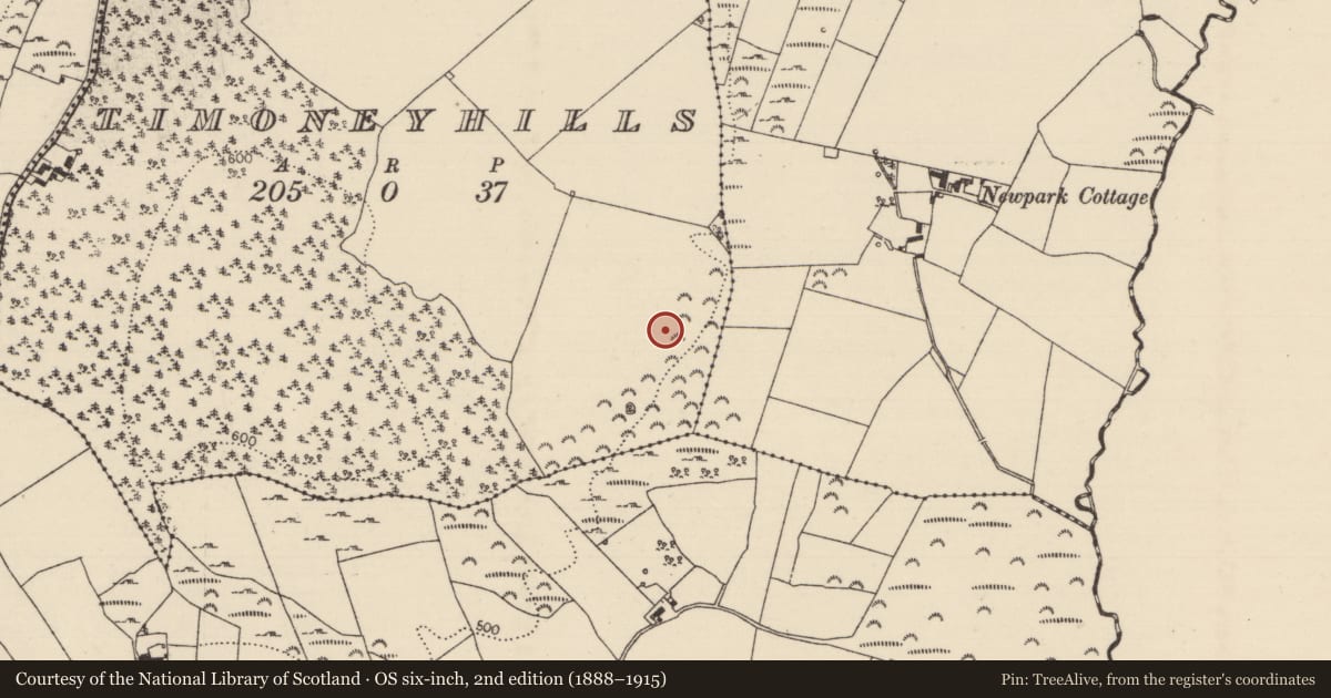 Ordnance Survey six-inch map, 2nd edition (1888–1915) covering the location of Standing stone, Timoney Hills, County Tipperary North, with a pin at the register's coordinates