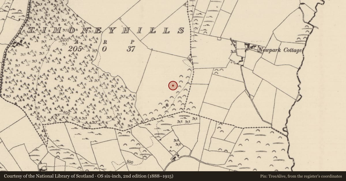 Ordnance Survey six-inch map, 2nd edition (1888–1915) covering the location of Standing stone, Timoney Hills, County Tipperary North, with a pin at the register's coordinates