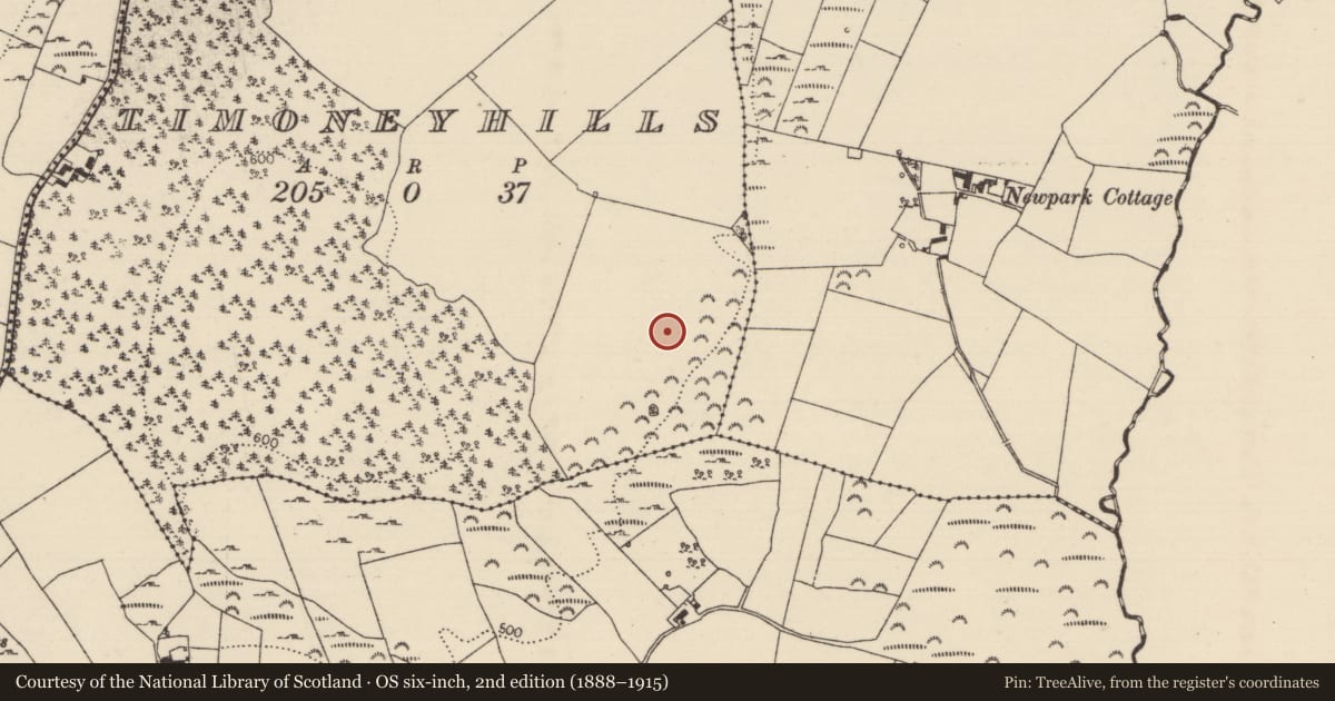 Ordnance Survey six-inch map, 2nd edition (1888–1915) covering the location of Standing stone, Timoney Hills, County Tipperary North, with a pin at the register's coordinates