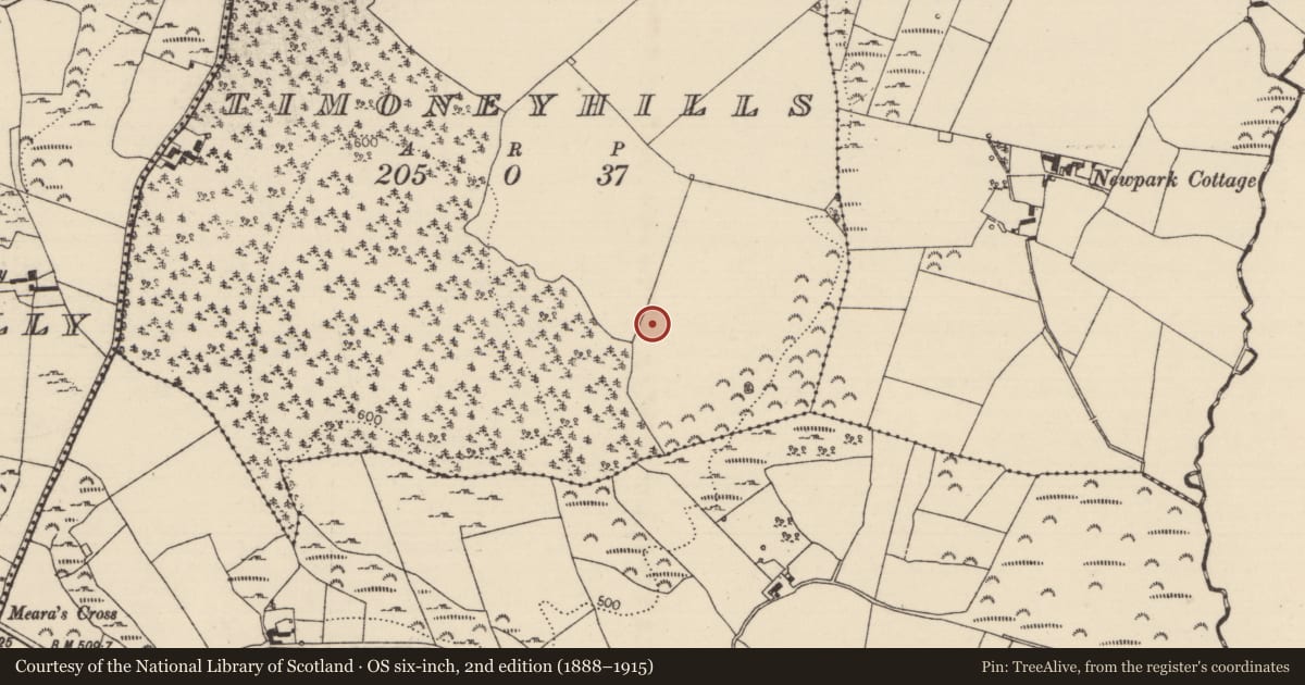Ordnance Survey six-inch map, 2nd edition (1888–1915) covering the location of Standing stone, Timoney Hills, County Tipperary North, with a pin at the register's coordinates