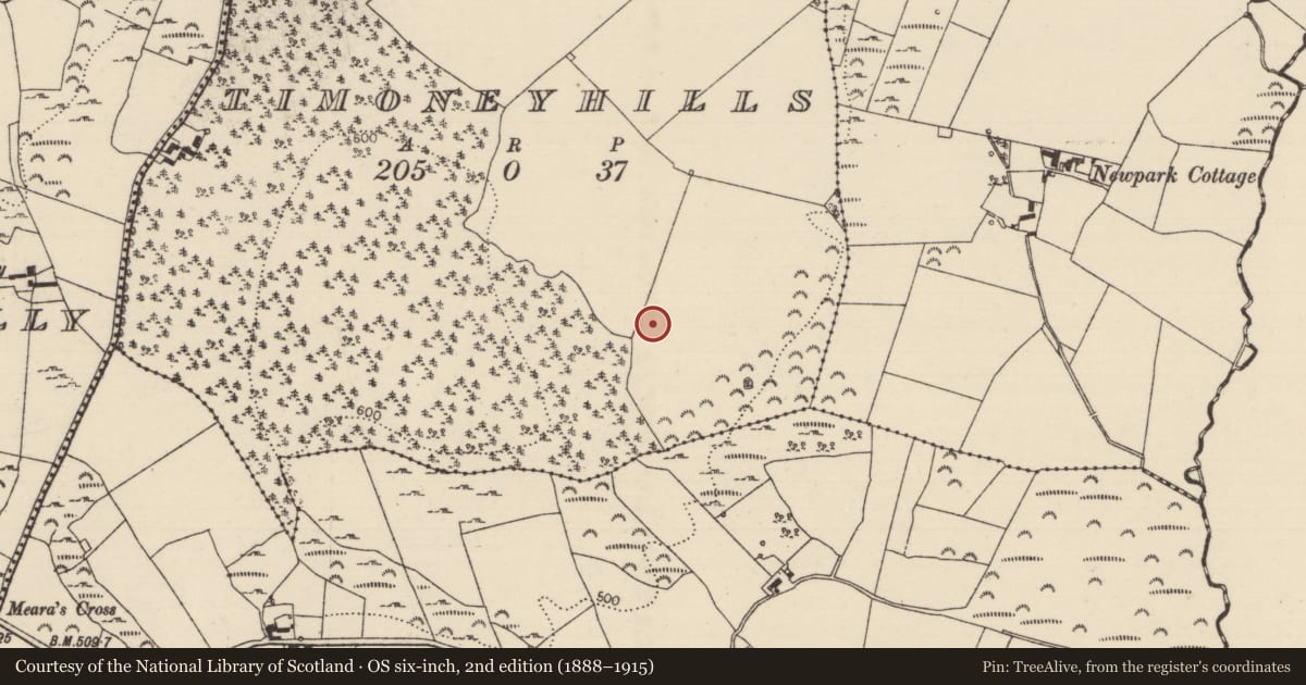Ordnance Survey six-inch map, 2nd edition (1888–1915) covering the location of Standing stone, Timoney Hills, County Tipperary North, with a pin at the register's coordinates