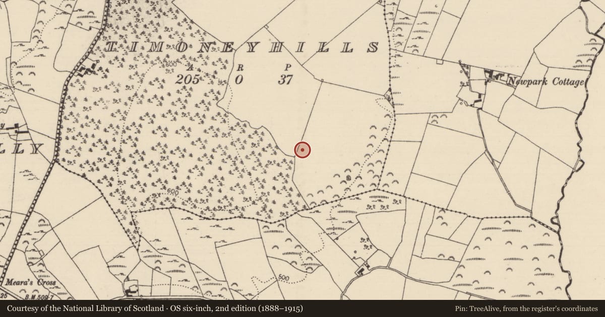 Ordnance Survey six-inch map, 2nd edition (1888–1915) covering the location of Standing stone, Timoney Hills, County Tipperary North, with a pin at the register's coordinates