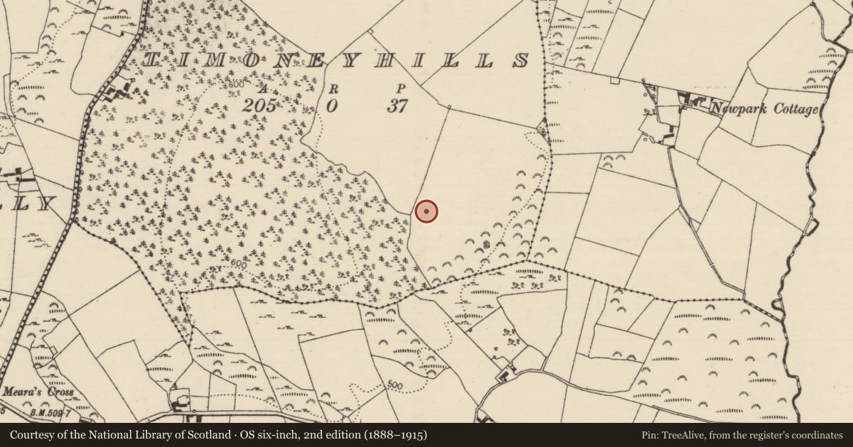 Ordnance Survey six-inch map, 2nd edition (1888–1915) covering the location of Standing stone, Timoney Hills, County Tipperary North, with a pin at the register's coordinates